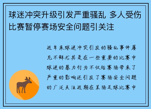 球迷冲突升级引发严重骚乱 多人受伤比赛暂停赛场安全问题引关注